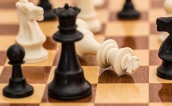 schaaklessen voor volwassenen in ter aar