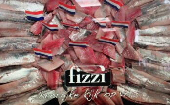 viswinkel fizzi hollandse nieuwe vrijdag
